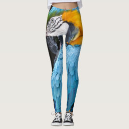 Legging Macaw azul e amarelo que Preening