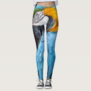 Legging Macaw azul e amarelo que Preening