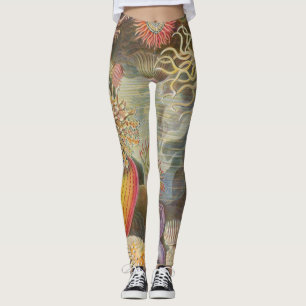 Legging Mar Anenomes por Ernst Haeckel