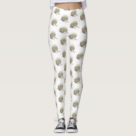 Legging Meias ou Collants de Caranguejo Ermitão