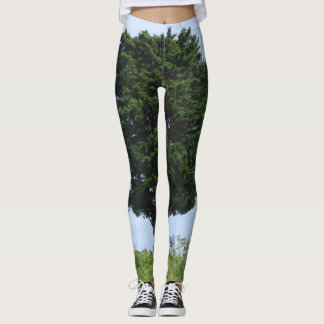 Legging Mighty Cedar