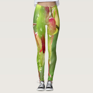 Legging Nature splash