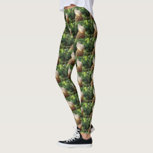 Legging O Melhor Lugar De Meerkat Na Casa,