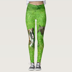 Legging O pugilista persegue caneleiras verdes da arte