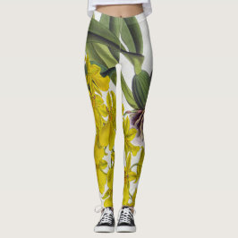 Legging Oncidir Concolor Vintage Orquídeas Lindenia