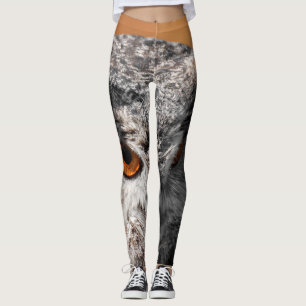 Legging Owl Stare