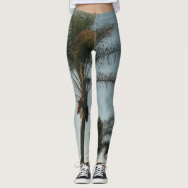 Legging palmeiras tropicais contra o céu azul