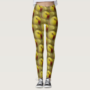Legging Papagaio Amarelo Lutino Indiano