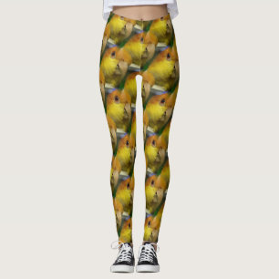 Legging Papagaio Caique Branco Encantado