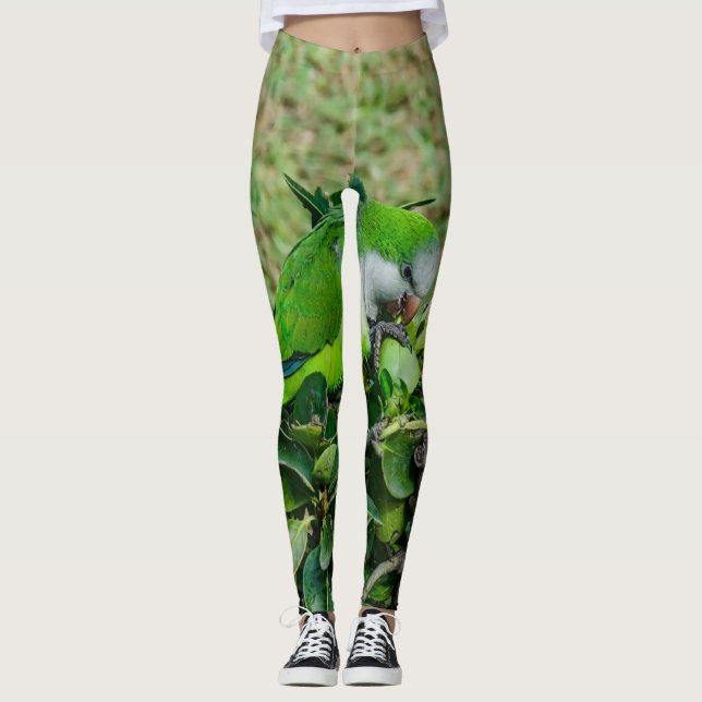 Legging Papagaio verde (Frente)
