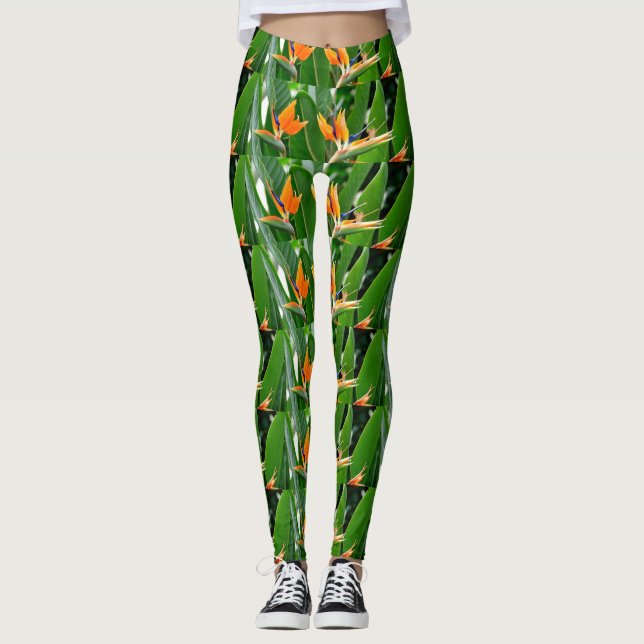 LEGGING PÁSSARO TROPICAL DE PARADISTA (Frente)