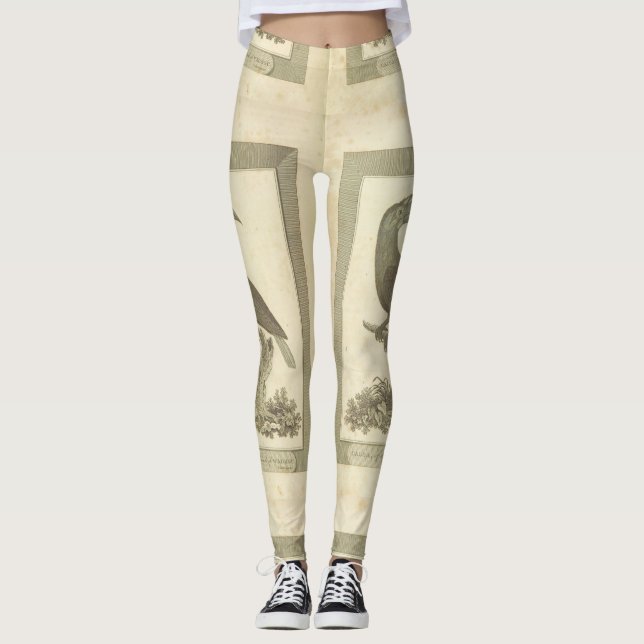Legging Pássaros do Vintage toucan (Frente)
