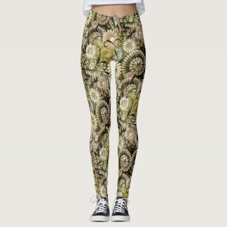 Legging Pernas