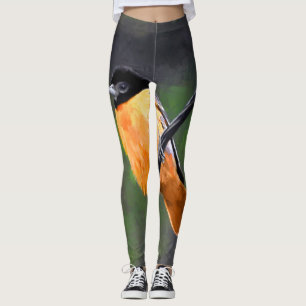 Legging Pintura de Oriole - Arte Original para Pássaros