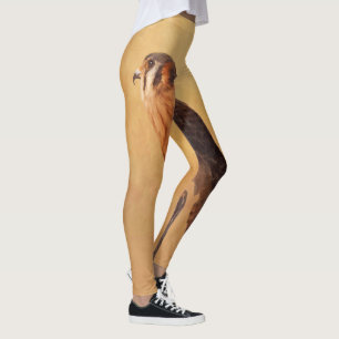Legging Pintura em Kestrel Americano - Arte original sobre