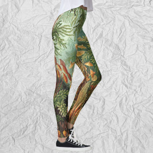 Legging Plantas do musgo do vintage por Ernst Haeckel,