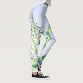 Legging Plantas Verdes do Céu Azul Deixam Flores Roxas