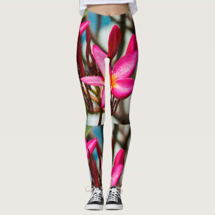 Legging Plumeria florescente exótica florescente