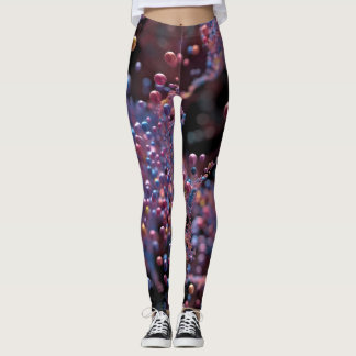 Legging Proxima