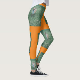 Legging Raposa vermelha na erva no parque repete-se o padr