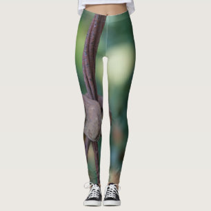 Legging Rusty Foliage