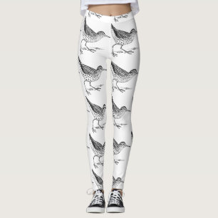 Legging Sandpiper Shorebird Thunder_Cove