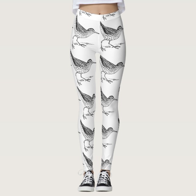 Legging Sandpiper Shorebird Thunder_Cove (Frente)