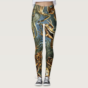 Legging Sapos de Batrachia por Ernst Haeckel