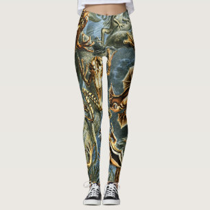 Legging Sapos de Batrachia por Ernst Haeckel