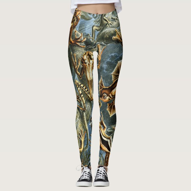 Legging Sapos de Batrachia por Ernst Haeckel (Frente)