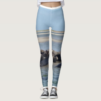 Legging Sela caneleiras de uma abundância