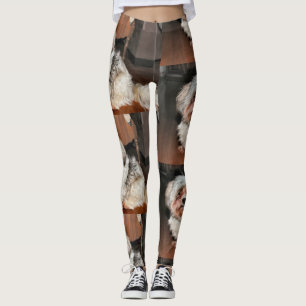 Legging Shih Tzu