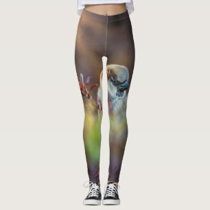 Legging Tampão de banho solar