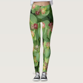 Legging Tiny Green Flora