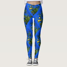 Legging Três caneleiras sicilianos dos limões