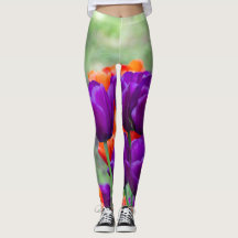 Tulipas roxas escuras num dia ensolarado no jardim