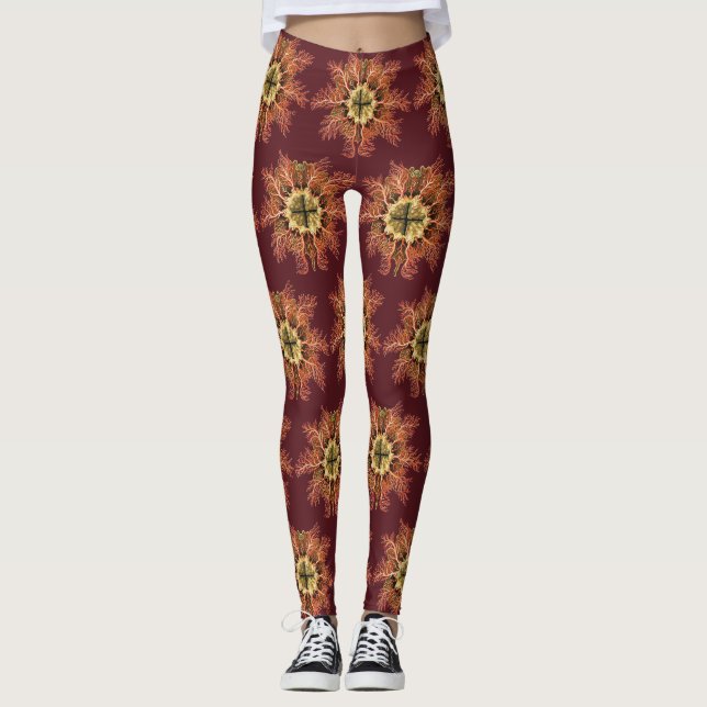 Legging Tunicado Náutico Ernst Haeckel Arte da Vida no Mar (Frente)