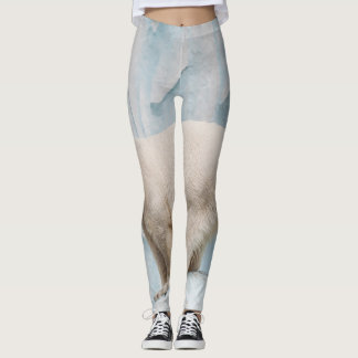 Legging Urso Polar: Vislumbre Zoo Habitat