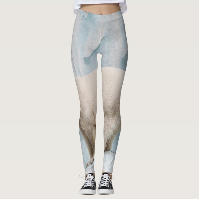Legging Urso Polar: Vislumbre Zoo Habitat (Frente)