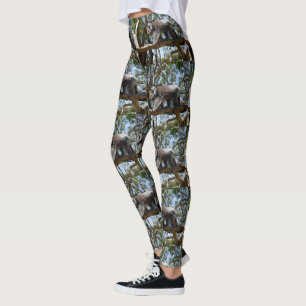 Legging Urso Wild Koala Caminhando Em Um Ramo De Árvore,
