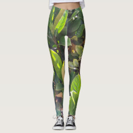 Legging Verde Divertido Deixa Leggências Impressão naturai