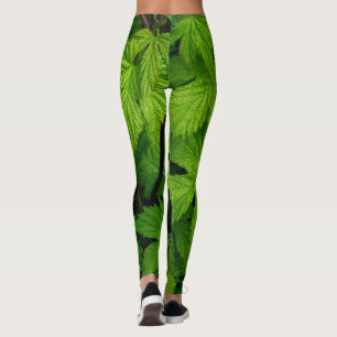 Legging Vinhas verdes beleza natural