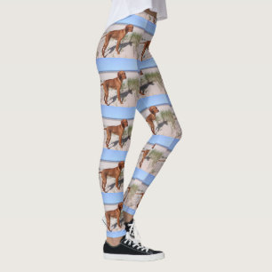 Legging vizsla-cheio