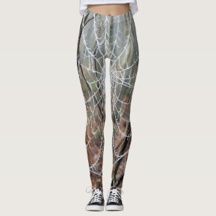 Legging Web de caneleiras européias da aranha de jardim