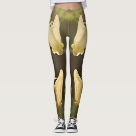 Legging YouYou Dutchmens carrega caneleiras