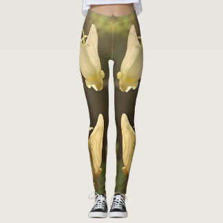 Legging YouYou Dutchmens carrega caneleiras