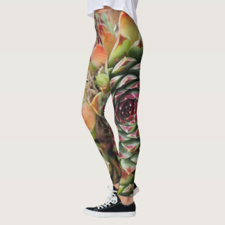 Leggings Cactus