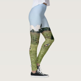 Leggings de aves de grua