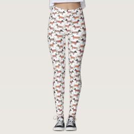 Leggings de cães de salsicha