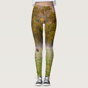 Leggings de Casal de Elk